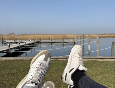 Steinhuder – Meer