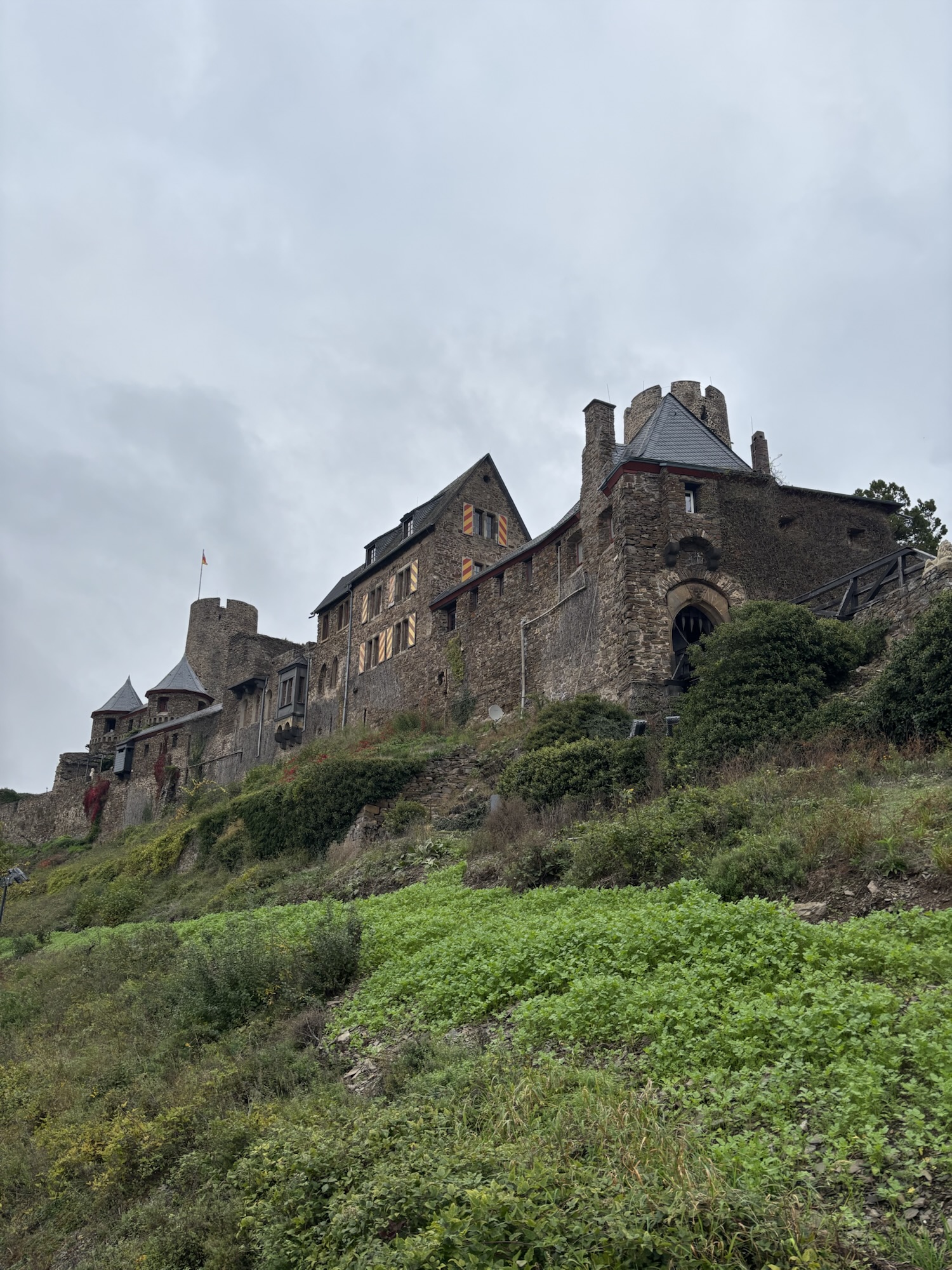 Mosel – Löf