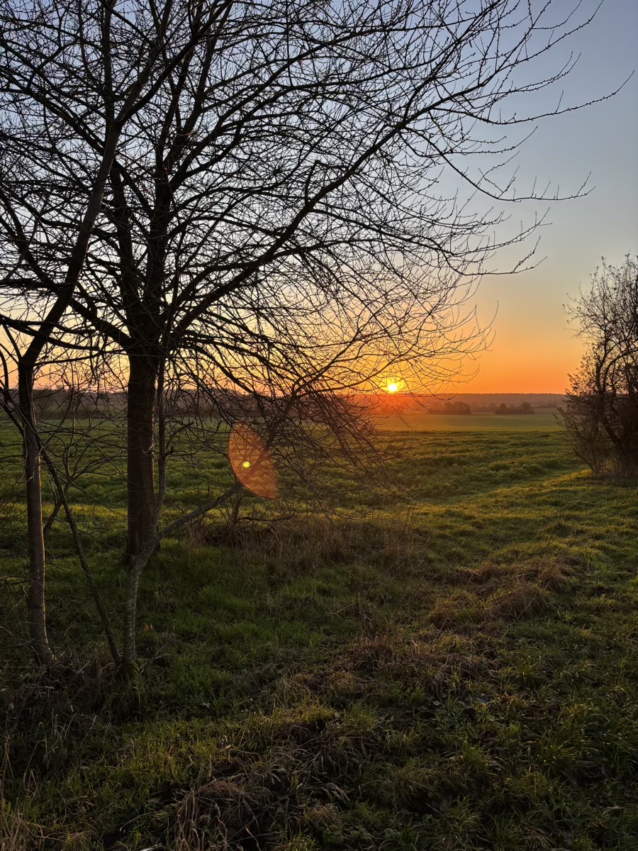Syke – Wolfsschlucht